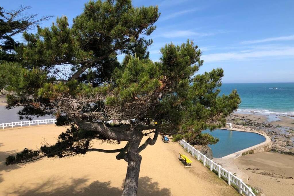 Belle Maison Neo-Bretonne A 5 Minutes De La Mer Tréveneuc Exteriér fotografie